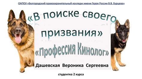 Профессия - кинолог - презентация онлайн
