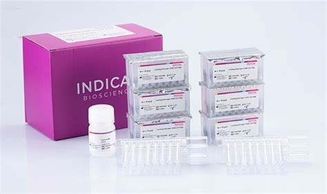 Kit de reactivos de bolas magnéticas IndiMag INDICAL BIOSCIENCE