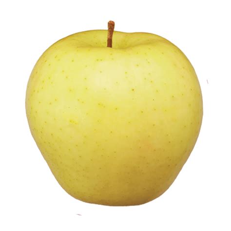 Michigan Apple Varieties - Michigan Apples