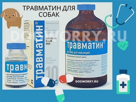 Травматин для кошек: показания и инструкция по применению, отзывы, цена