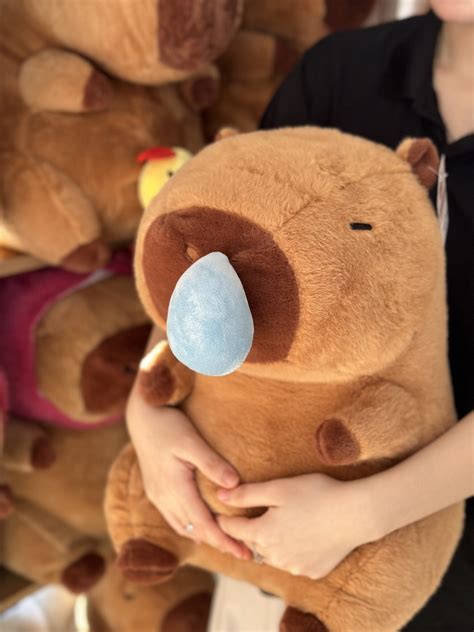 GẤU BÔNG CAPYBARA CÓ GÌ MÀ LẠI HOT HIT ĐẾN VẬY Gấu Bông Mập