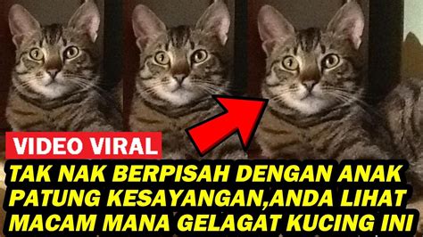 Tak Nak Berpisah Dengan Anak Patung Kesayangan Anda Lihat Macam Mana