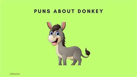 100 Funny Donkey Jokes That Will Cheer You Up Jokewise