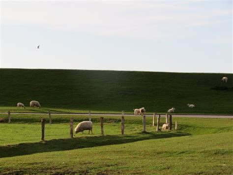 F Hr Tag Auf Den Spuren Von Elmeere Einfach Nur Wundersch N