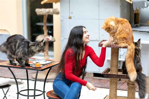 Earlier evenings will arrive after the final sundown september 4