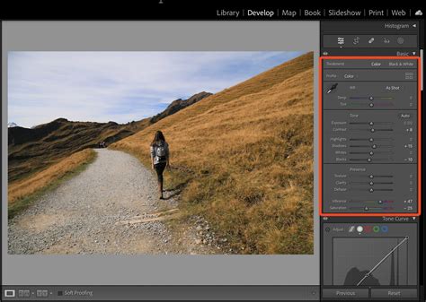 Free Vs Paid Presets For Lightroom Making The Right Choice For Your