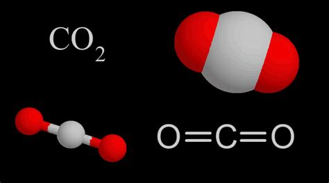 El dióxido de carbono: ¿Qué es el dióxido de carbono?