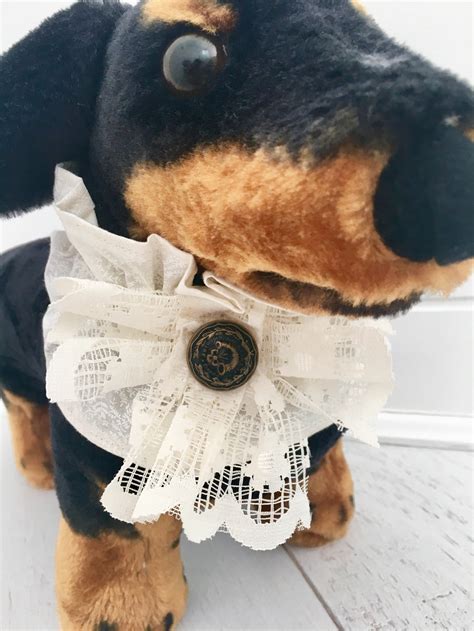 Aristocrat Collar Dog Ring Bearer Dog Collar Cat Collar - Etsy