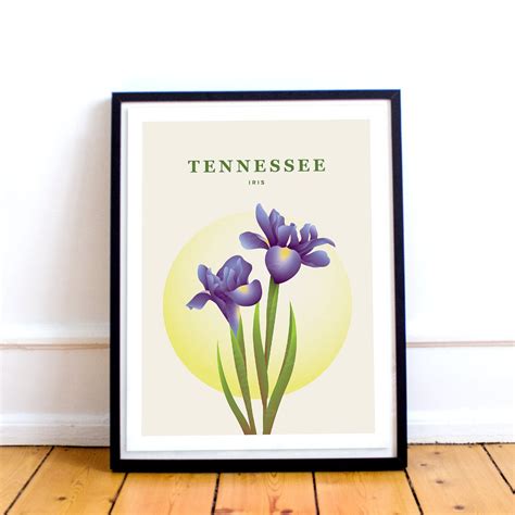tennessee state flower 7