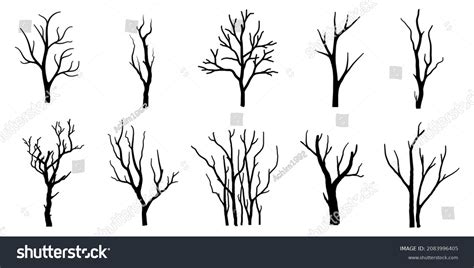 Naked Trees Silhouettes Set On White Stock Vector Royalty Free Shutterstock