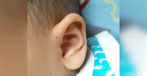 fascinating reason   people   small hole