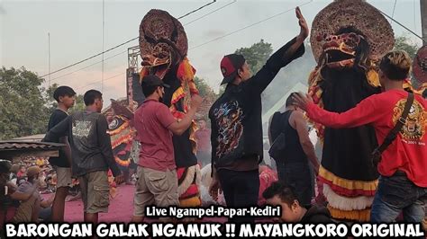 Barongan Galak Ngamuk Jaranan Mayangkoro Original Live Ngampel Papar