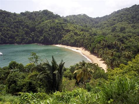 tobago honeymoons  destination wedding blog jet fete  bridal bar