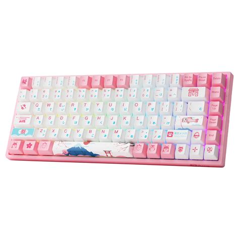 Buy Akko B Plus World Tour Tokyo R Rgb Hot Swap Jelly Purple Zzz Pc Case