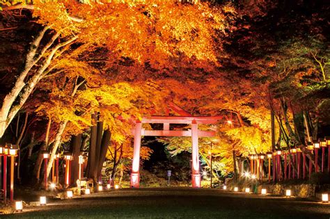 NAKED GARDEN ONE KYOTO 2023 比叡山坂本開催決定 NAKED INC 株式会社ネイキッド