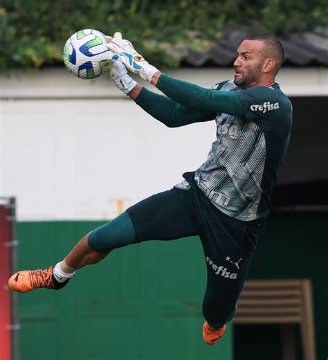 Palmeiras Inicia Prepara O Visando Goi S E Weverton Comemora Baliza A