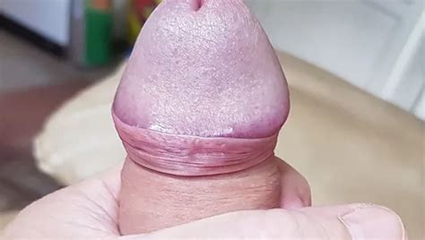 Free Gay Friend Porn Videos XHamster