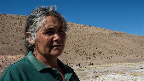 Protecting Indigenous lands: lessons from Chile | International