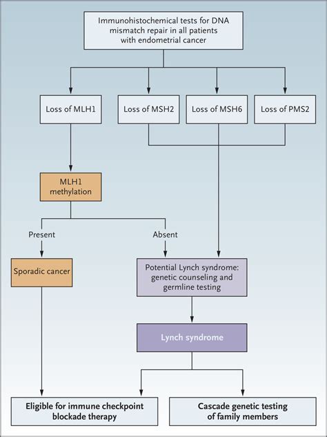 Endometrial Cancer Concept Map