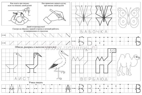 Прописи для левшей. Смышлёные буковки по клеточкам: для детей 6 лет ...