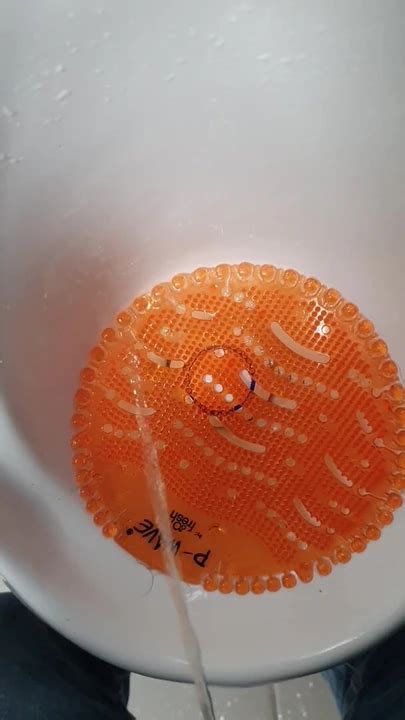 Public Toilet Piss With Hairy Pubes Gay Bear Porn Feat Gingerjohnny Xhamster