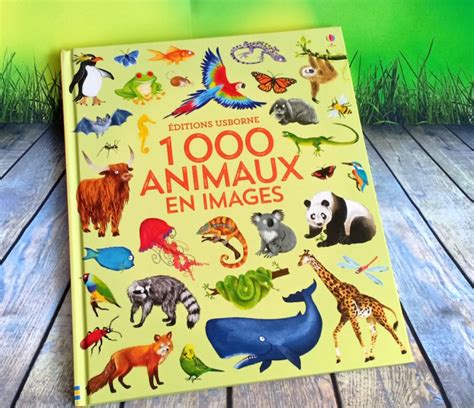 1000 Animaux En Images Liyah Fr Livre Enfant Manga Shojo BD