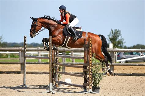 2 3 Septembre 2023 ABAC Bacqueville en Caux CSO Amateur Pro Préparatoire Événements