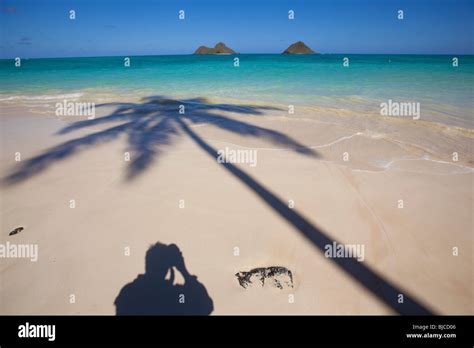 Lanikai Beach, Mokulua Islands, Kailua, Oahu, Hawaii Stock Photo - Alamy