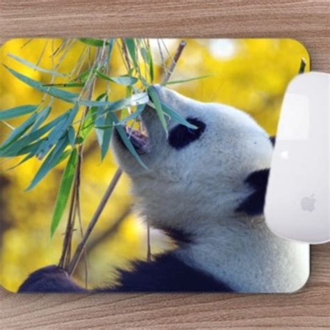 Mouse Pad Animais Silvestres Urso Panda Leroy Merlin