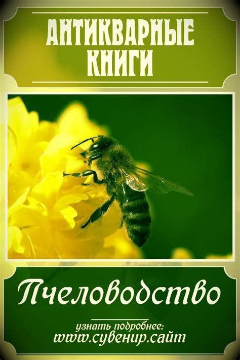 Редкие книгоиздания о пчеловодстве для библиотеки Москва # ...