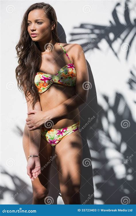 Sexy Frau Im Bikini Der an Einer Wand Sich Lehnt Stockbild Bild von stehen dünn 33723403