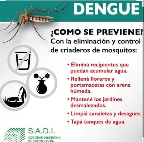 Para Prevenir Dengue Y Coronavirus