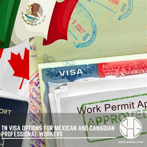 Tn Visa Options For Mexican And Canadian Professional Workers Solow Hartnett And Galvan