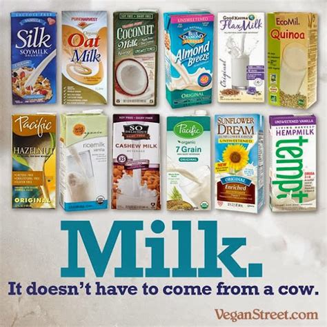 The Vegan Peach: Let's Talk Vegan Milk