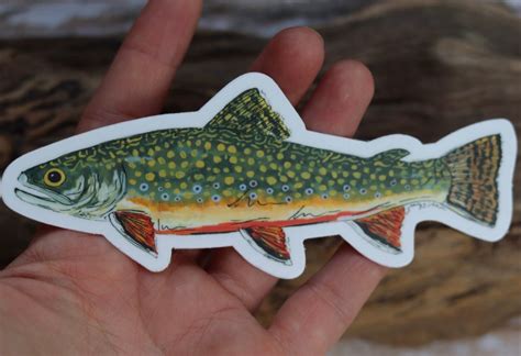 Brook Trout Sticker Fish Sticker Fish Decal Trout Decal Etsy