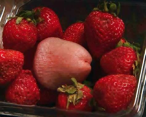 Tasty Food For Woman Porn Pictures XXX Photos Sex Images PICTOA