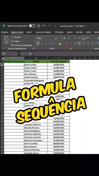 Desperte Seu Potencial Profissional Aprenda Excel Do B Sico Ao