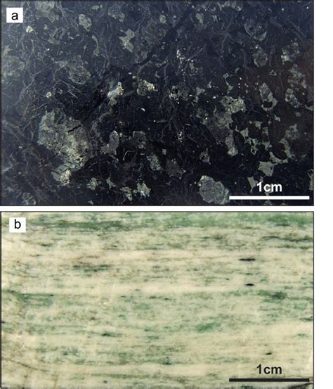 representative rock slabs  preserved cumulate texture