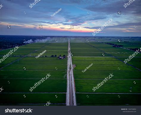 Aerial View Green Paddy Field During Stock Photo 1183750852 Shutterstock