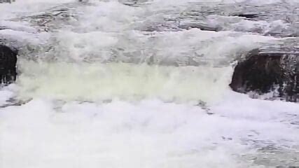 Public Sex Abroad Germany Sonja Maalter Dawn Phoenix