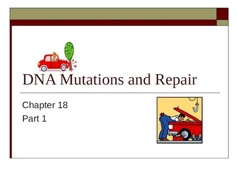 PPT DNA Mutations And Repair Chapter 18 Part 1 Gene Mutations And