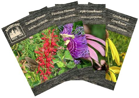 Custom Flower Seed Packets | Best Flower Site