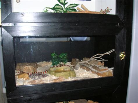 kingsnake.com photo gallery > Reptiles and Amphibians > cage2