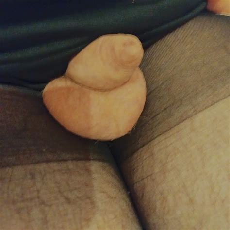 Mehr Schwanzbilder Von Mir 32 Nude Pics XHamster