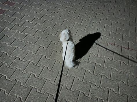 Recenzja Infinix Hot S Nfc Jak Poradzi Sobie Pierwszy Smartfon Producenta W Polsce