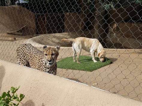 San Diego Visitor Information Center | San Diego CA
