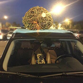 Aimee Richelle Teegarden Aimeeteegarden Nude OnlyFans The Fappening Plus