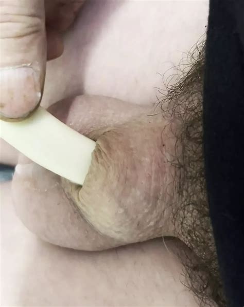 Micro Cock Cheese Whiz Wiener American Shemale Ladyboy Ladyboy Porn Xhamster