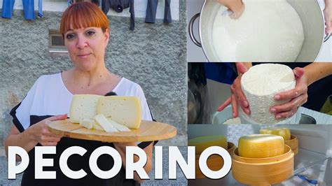 How To Make Pecorino Cheese At Home Like An Italian Cheesemaker Youtube