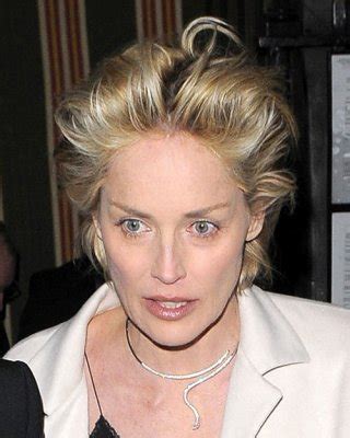 Sharon Stone Showing Her Shaved Pussy And Upskirt Porn Pictures XXX Photos Sex Images 3247462